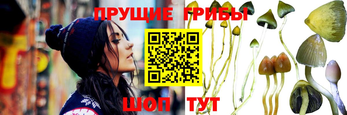 Галлюциногенные грибы Magic Shrooms Наро-Фоминск